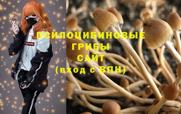 а пвп мука Кукмор